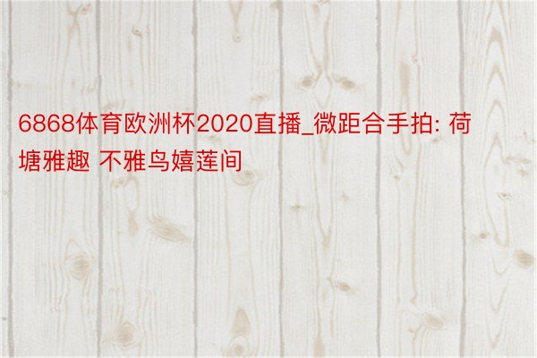 6868体育欧洲杯2020直播_微距合手拍: 荷塘雅趣 不雅鸟嬉莲间