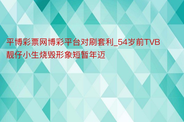 平博彩票网博彩平台对刷套利_54岁前TVB靓仔小生烧毁形象短暂年迈