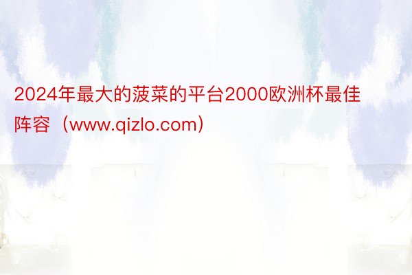 2024年最大的菠菜的平台2000欧洲杯最佳阵容（www.qizlo.com）